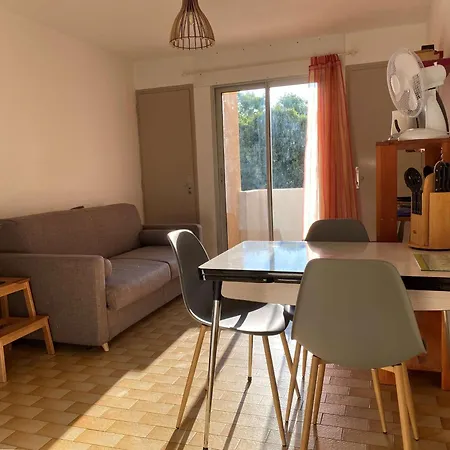 Apartment Agreable Avec Parking Privatif Et Wi-fi A - Fr-1-553-273